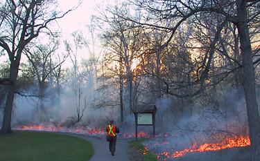 A prescribed burn on 26 April 2001.