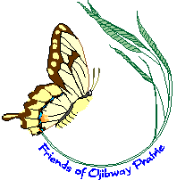 Giant Swallowtail, Friends logo