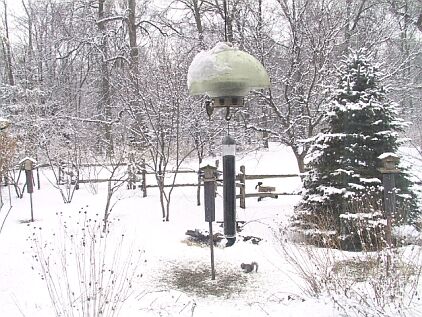 Winter view from nature centre window