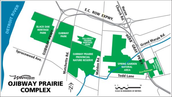 map of Ojibway Prairie Complex